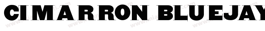 Cimarron Bluejays字体转换